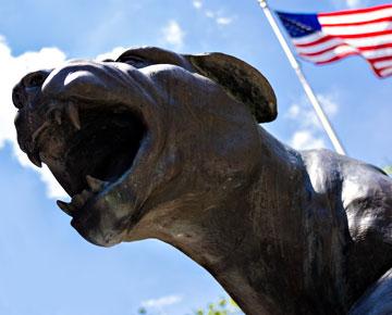 Roc statue with American Flag in the background